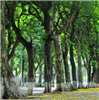 Trần Thế Hưng